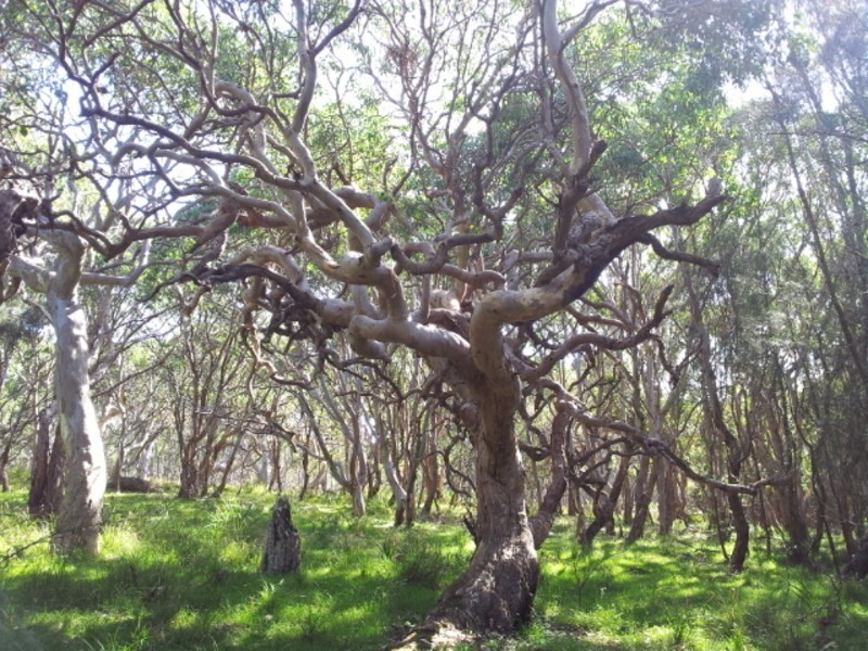 1141 Congo Road, Meringo NSW 2537