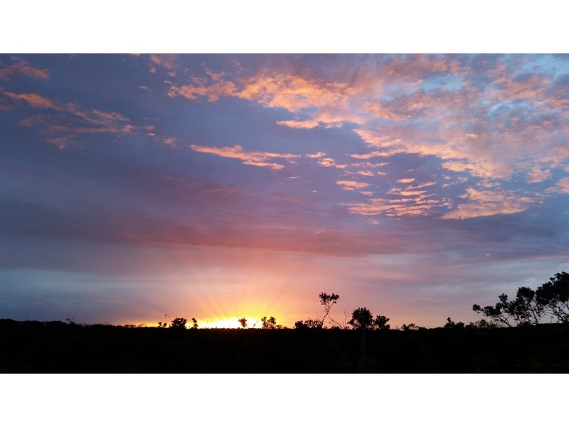 41 Whale Bay Drive, Hopetoun WA 6348