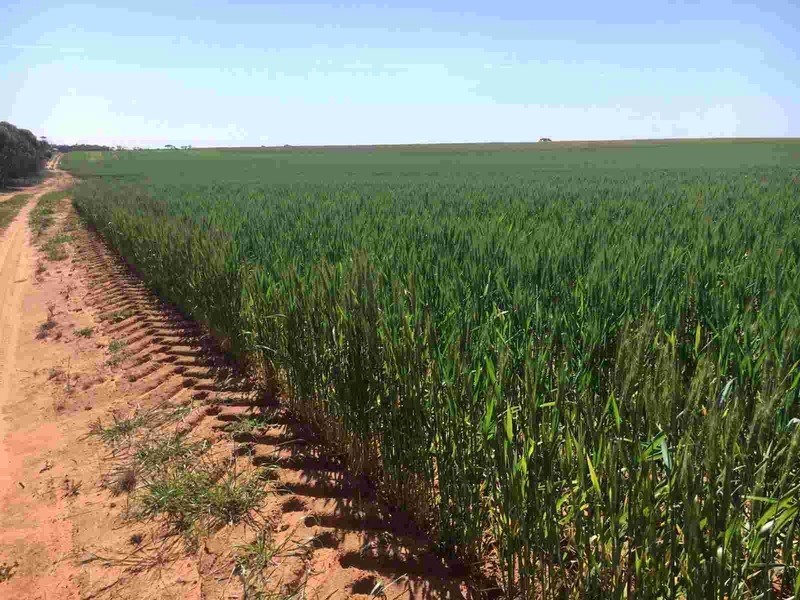 Lot 50A Morrison Road, Linga VIC 3509