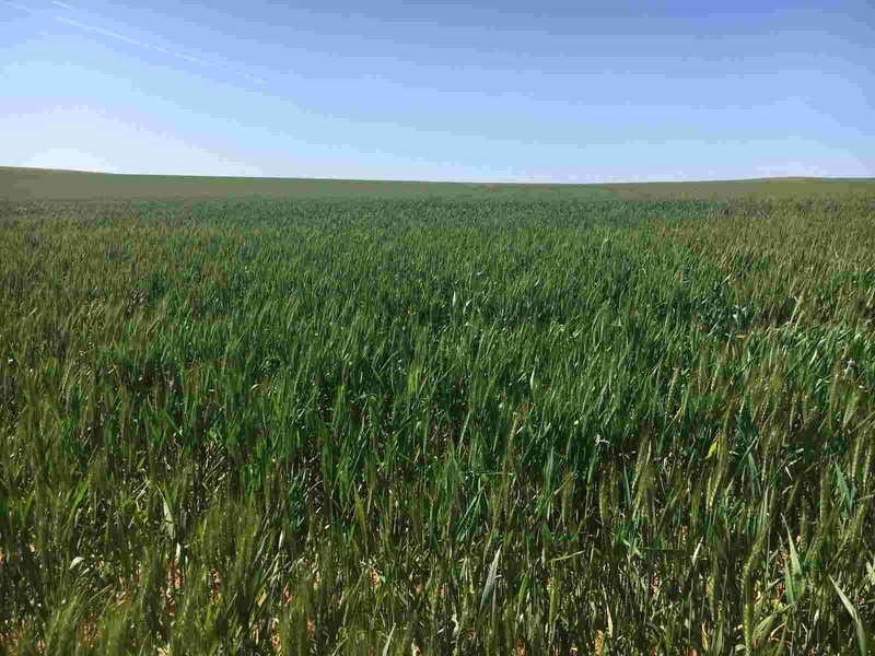 Lot 50A Morrison Road, Linga VIC 3509