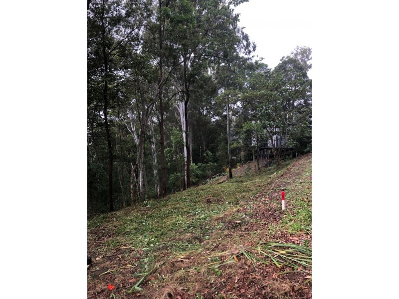 39 Birdwing Forest Place, Buderim QLD 4556