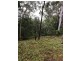 39 Birdwing Forest Place, Buderim QLD 4556