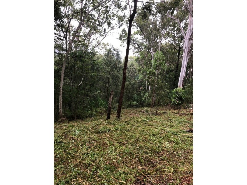 39 Birdwing Forest Place, Buderim QLD 4556