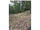 39 Birdwing Forest Place, Buderim QLD 4556