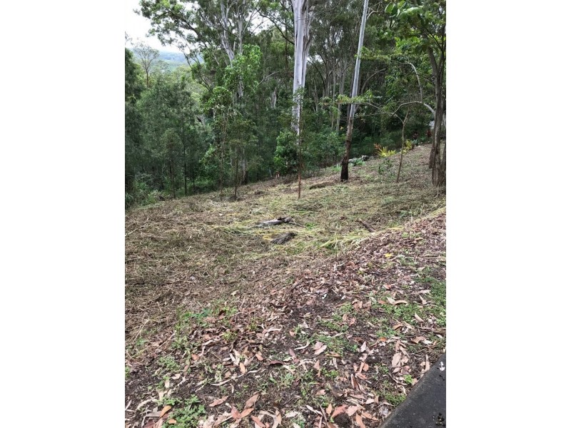 39 Birdwing Forest Place, Buderim QLD 4556