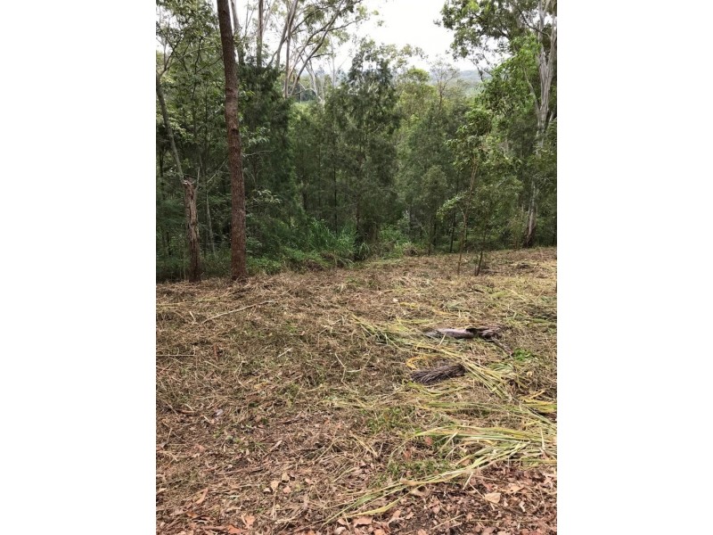 39 Birdwing Forest Place, Buderim QLD 4556