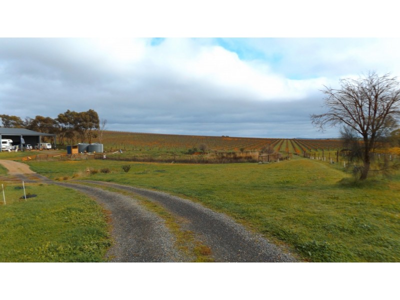 Lot 2 Lindsay Park Road, Moculta SA 5353