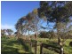 Lot 2 Lindsay Park Road, Moculta SA 5353
