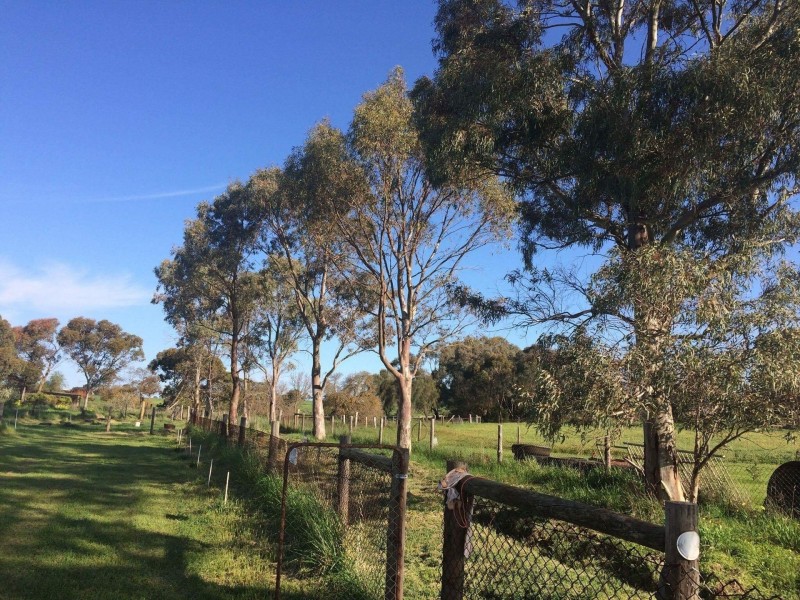 Lot 2 Lindsay Park Road, Moculta SA 5353