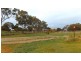 Lot 2 Lindsay Park Road, Moculta SA 5353