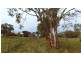 Lot 2 Lindsay Park Road, Moculta SA 5353