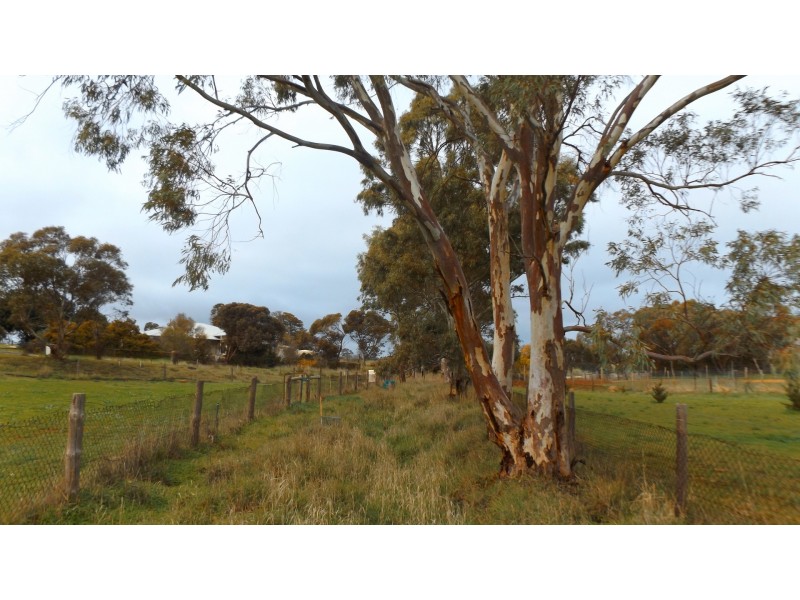 Lot 2 Lindsay Park Road, Moculta SA 5353