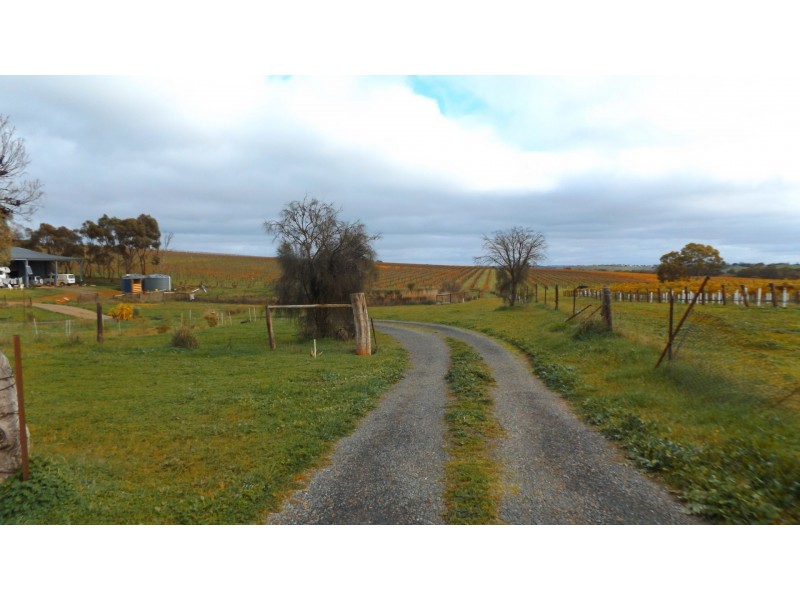 Lot 2 Lindsay Park Road, Moculta SA 5353