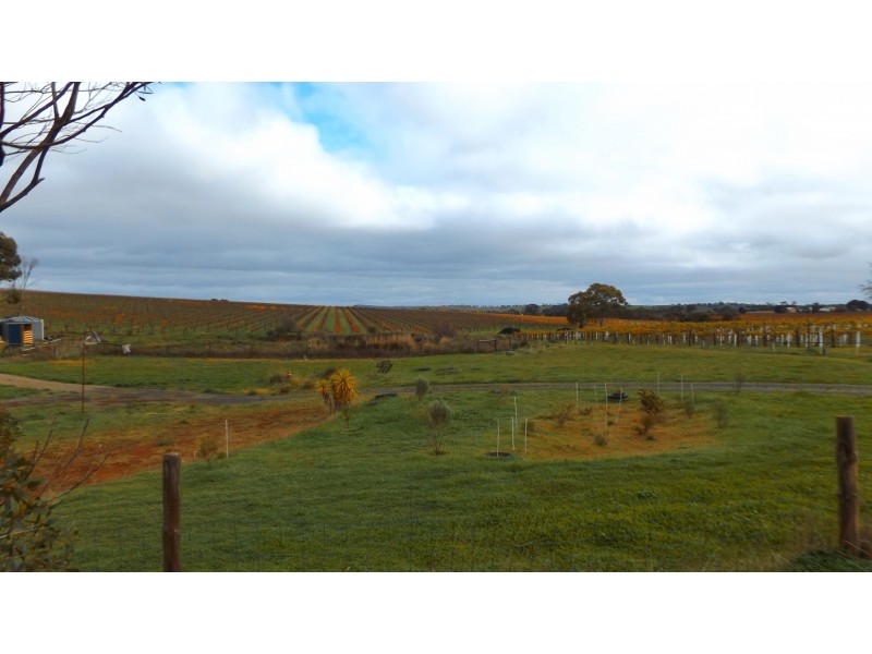 Lot 2 Lindsay Park Road, Moculta SA 5353