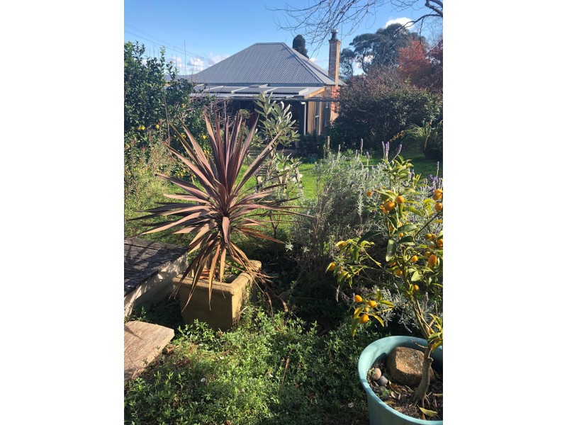 56 Church Street, Milton NSW 2538