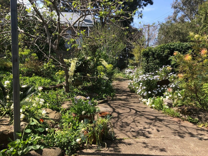 56 Church Street, Milton NSW 2538