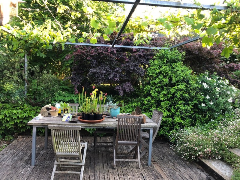 56 Church Street, Milton NSW 2538