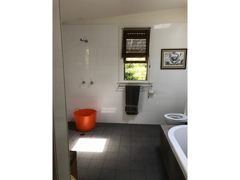 56 Church Street, Milton NSW 2538