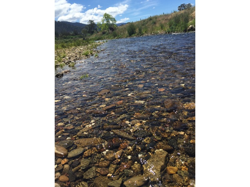 116 Lind Avenue, Dargo VIC 3862