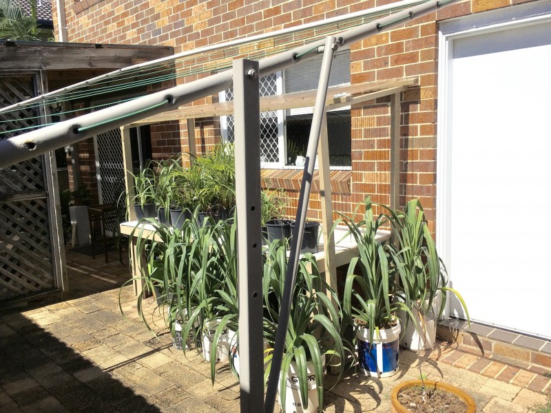 4/2 Brunswick Ave, Coffs Harbour NSW 2450