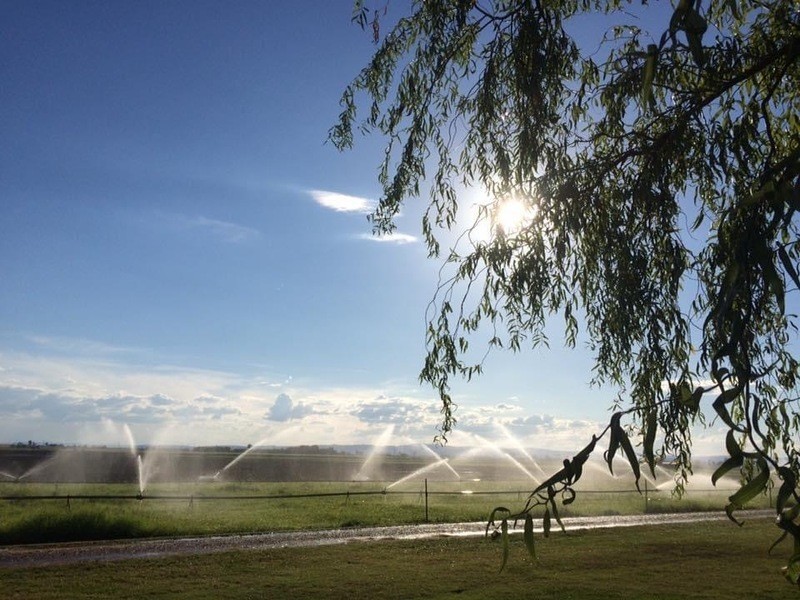 17 Niethe Road, Lockrose QLD 4342