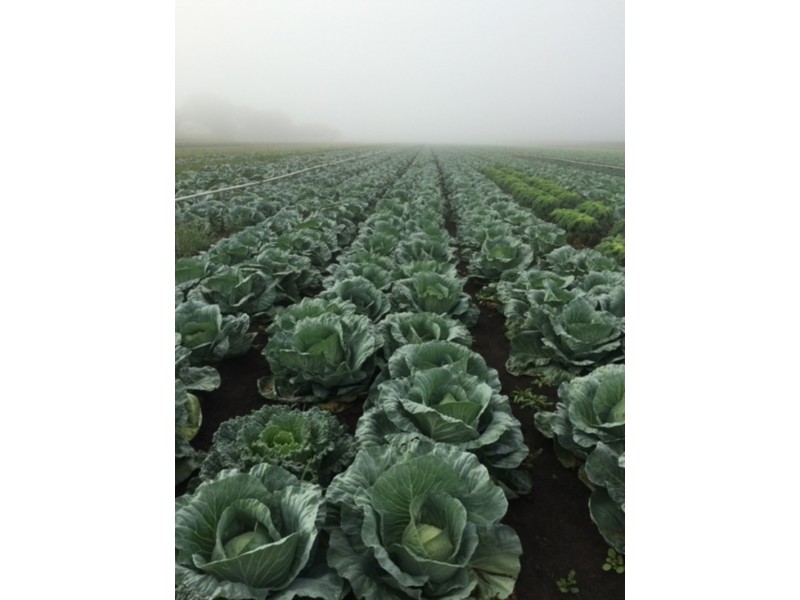 17 Niethe Road, Lockrose QLD 4342