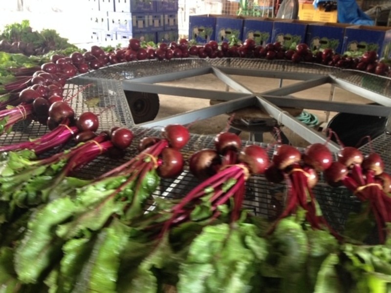 17 Niethe Road, Lockrose QLD 4342