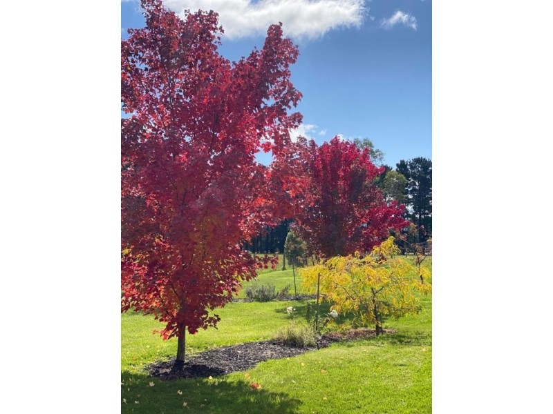 87 McGregor Road, Gisborne VIC 3437