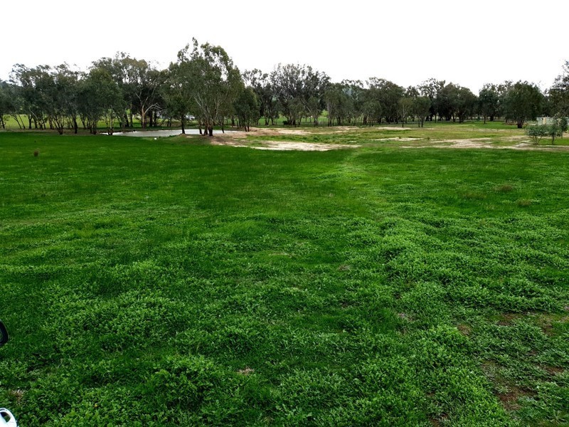 57 Mulgrave Road, Jindera NSW 2642