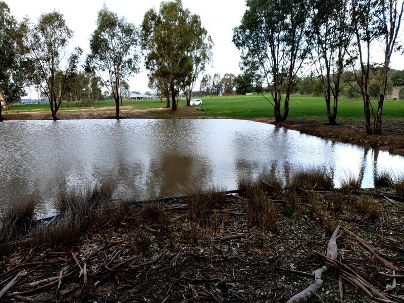 57 Mulgrave Road, Jindera NSW 2642