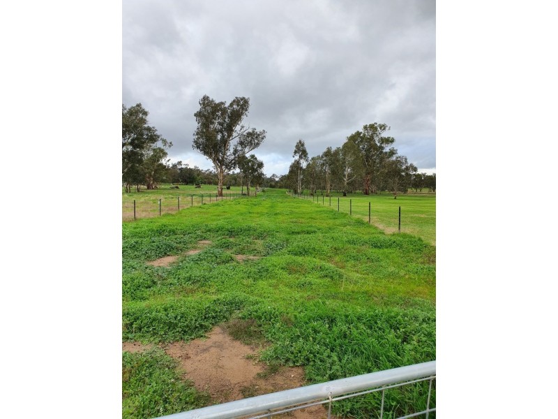 57 Mulgrave Road, Jindera NSW 2642