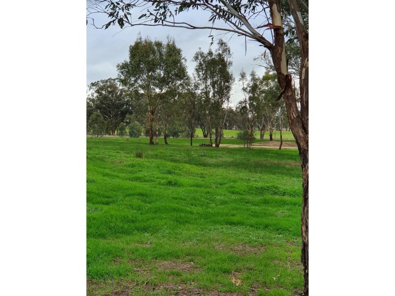 57 Mulgrave Road, Jindera NSW 2642