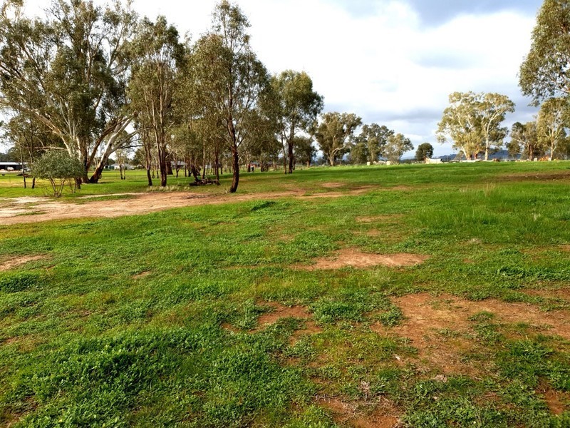 57 Mulgrave Road, Jindera NSW 2642