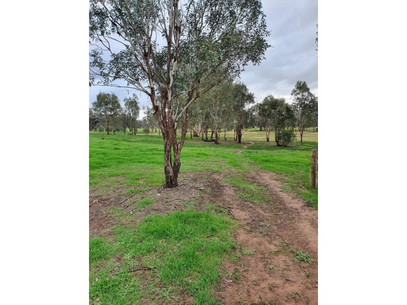 57 Mulgrave Road, Jindera NSW 2642