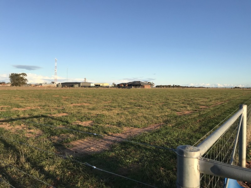 7 Rankin Road, Jerilderie NSW 2716