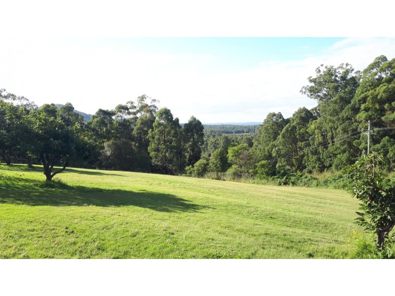 216 Grays Road, Halfway Creek NSW 2460