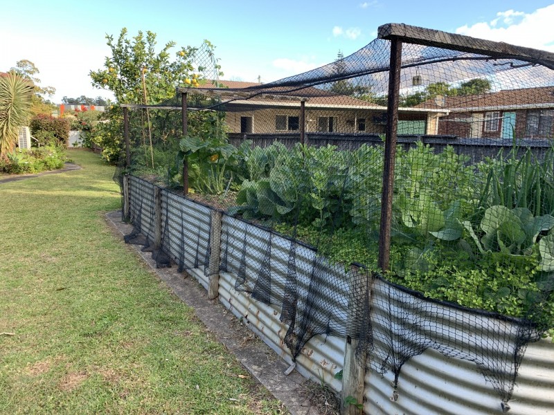 6 Knox Street, Woolgoolga NSW 2456