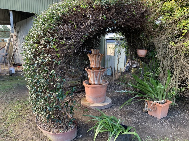 6 Knox Street, Woolgoolga NSW 2456