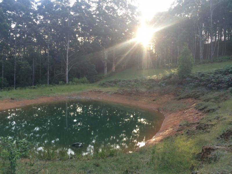 2147 Scotsdale Road, Denmark WA 6333