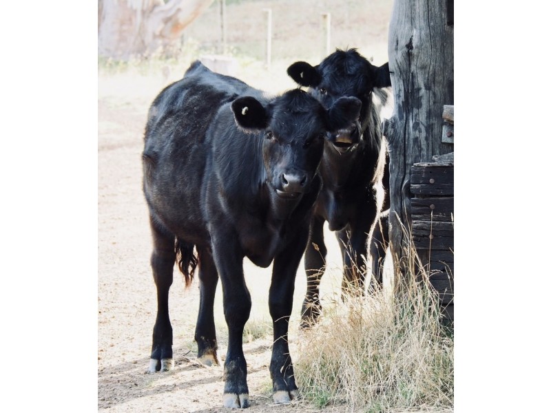 2147 Scotsdale Road, Denmark WA 6333