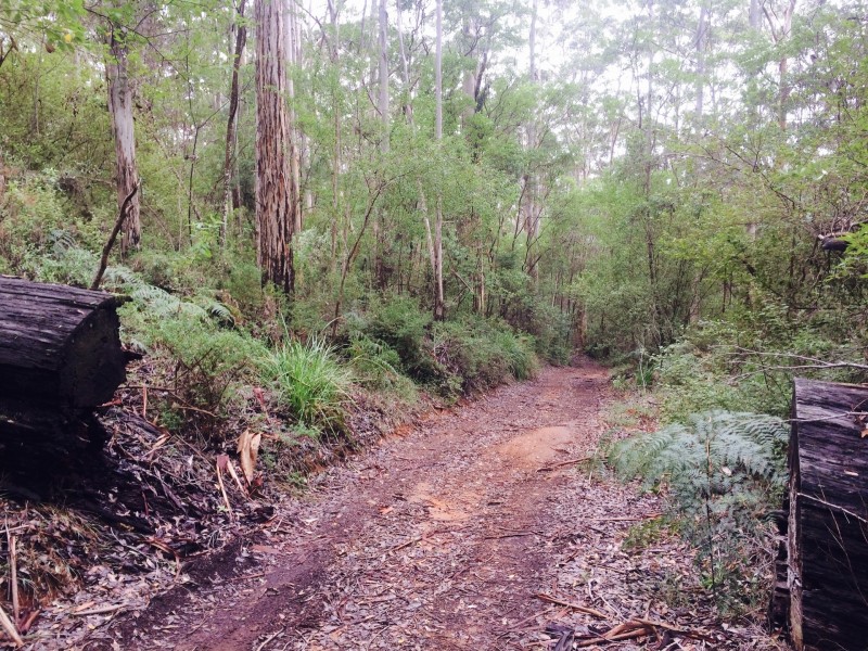 2147 Scotsdale Road, Denmark WA 6333