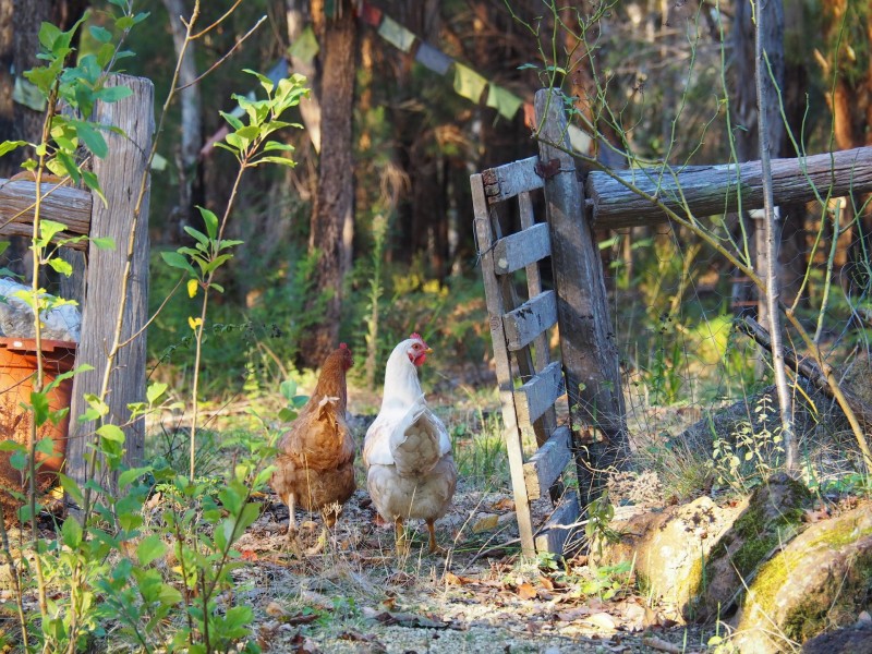 2147 Scotsdale Road, Denmark WA 6333