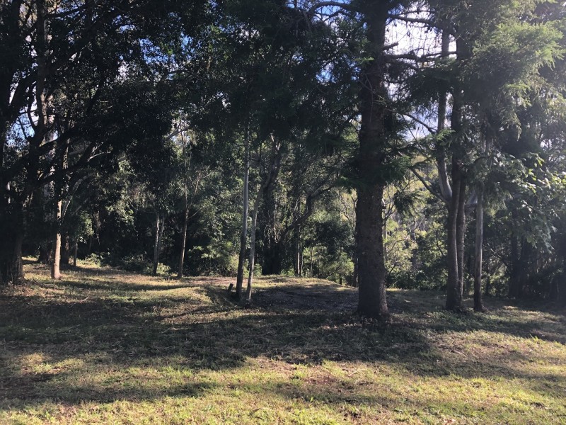 622 Binna Burra Road, Beechmont QLD 4211