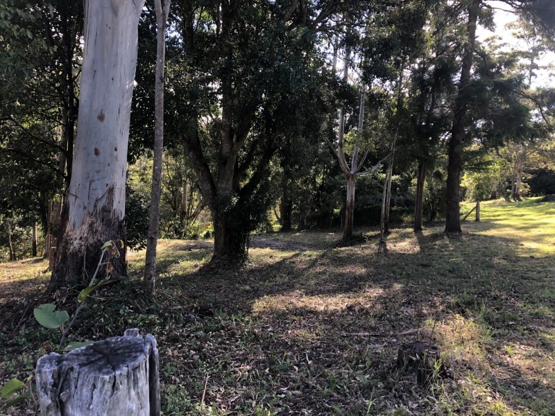 622 Binna Burra Road, Beechmont QLD 4211