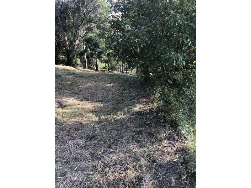 622 Binna Burra Road, Beechmont QLD 4211