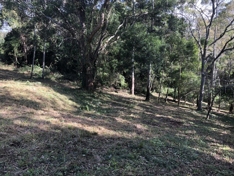 622 Binna Burra Road, Beechmont QLD 4211