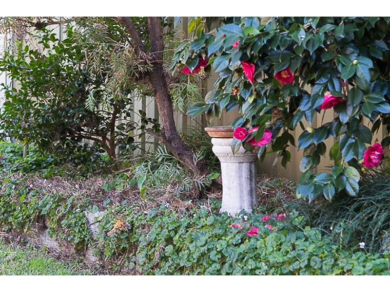 34 Benbury Street, Quakers Hill NSW 2763