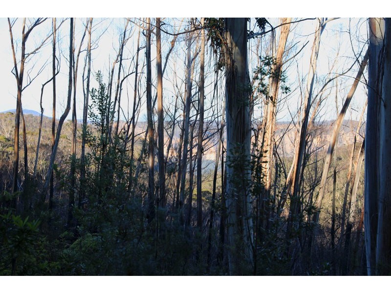 221 Hat Hill Road, Blackheath NSW 2785