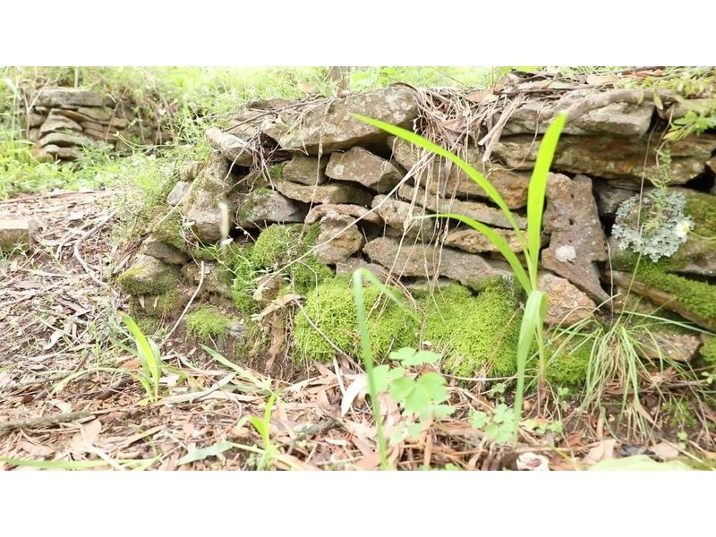 221 Hat Hill Road, Blackheath NSW 2785