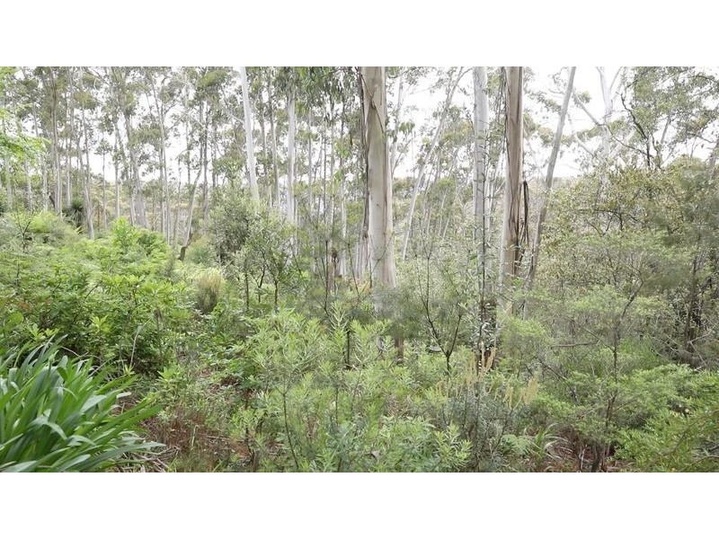 221 Hat Hill Road, Blackheath NSW 2785